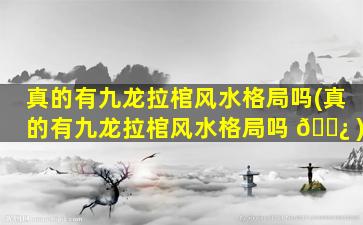 真的有九龙拉棺风水格局吗(真的有九龙拉棺风水格局吗 🌿 )